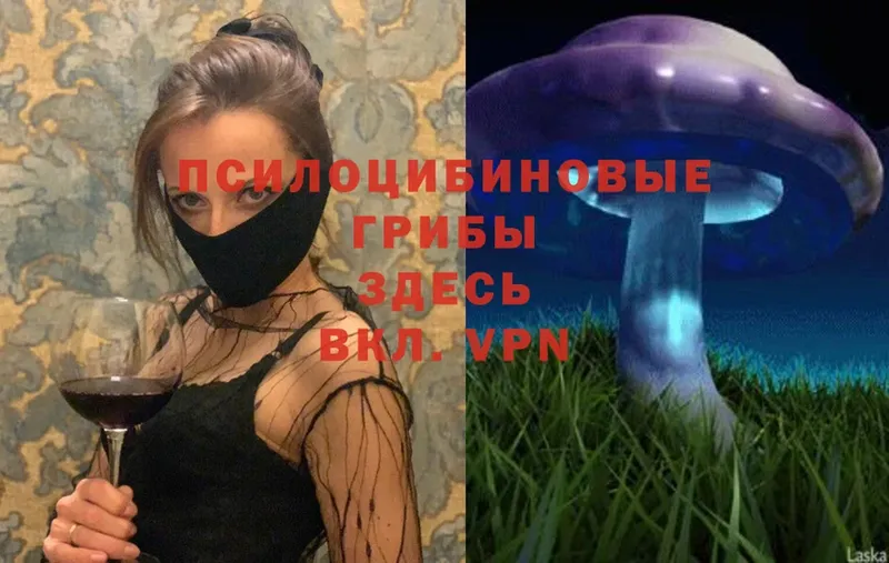 Галлюциногенные грибы Magic Shrooms  как найти наркотики  Порхов 